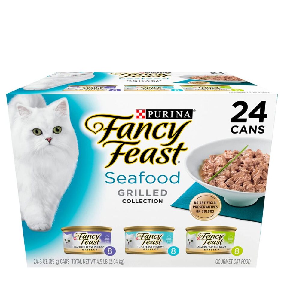 Our pick of the best cat food for gassy cats