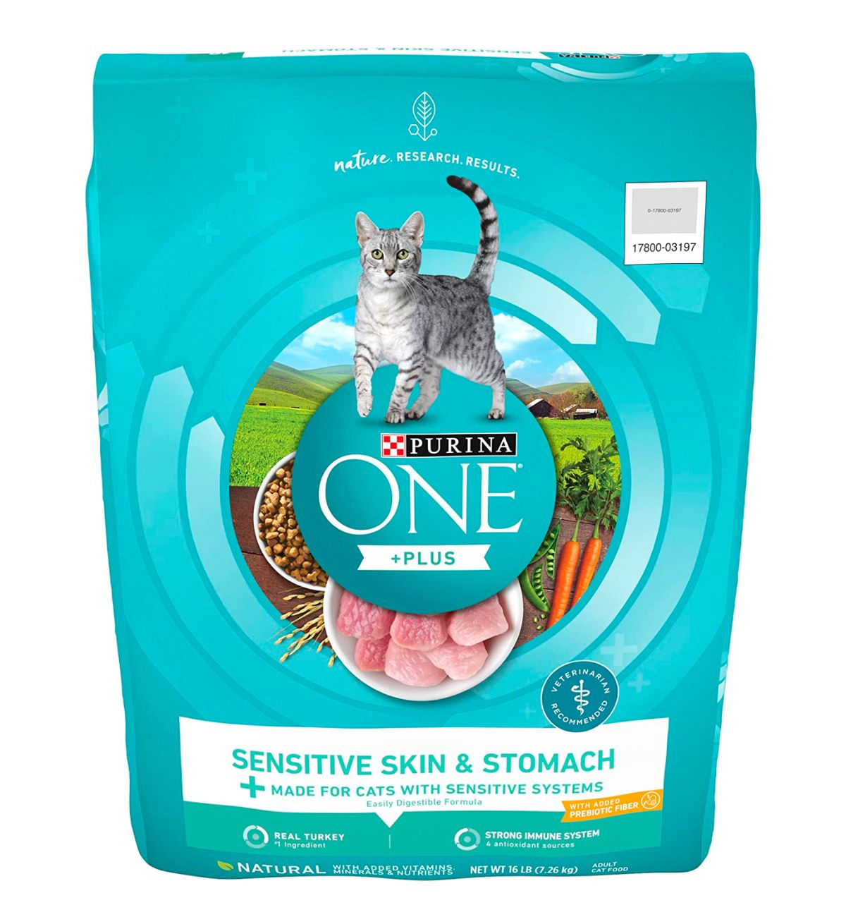 8 Best Cat Food for Gassy Cats (Full Reviews) - Hickory Food