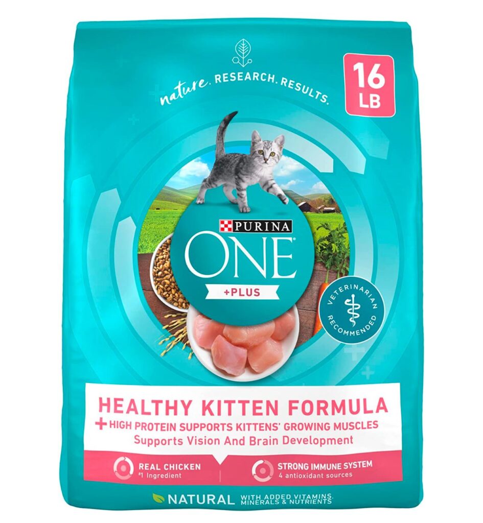 Best Cat Food for Maine Coon Kitten