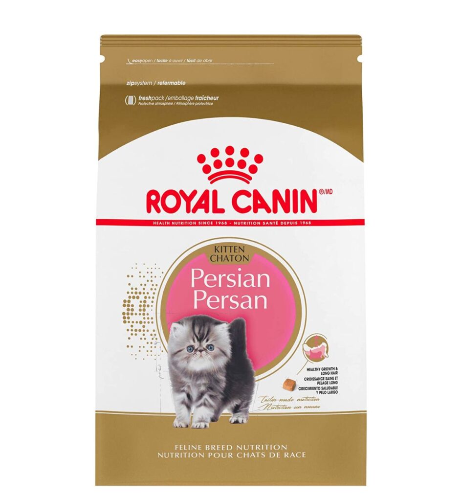 Best Dry Food for Persian Kittens 