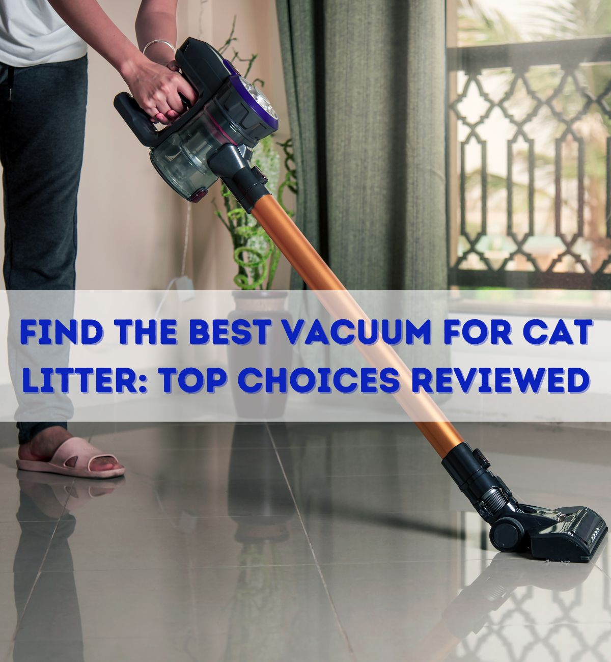 Find the Best Vacuum for Cat Litter Top Choices Reviewed Hickory Food