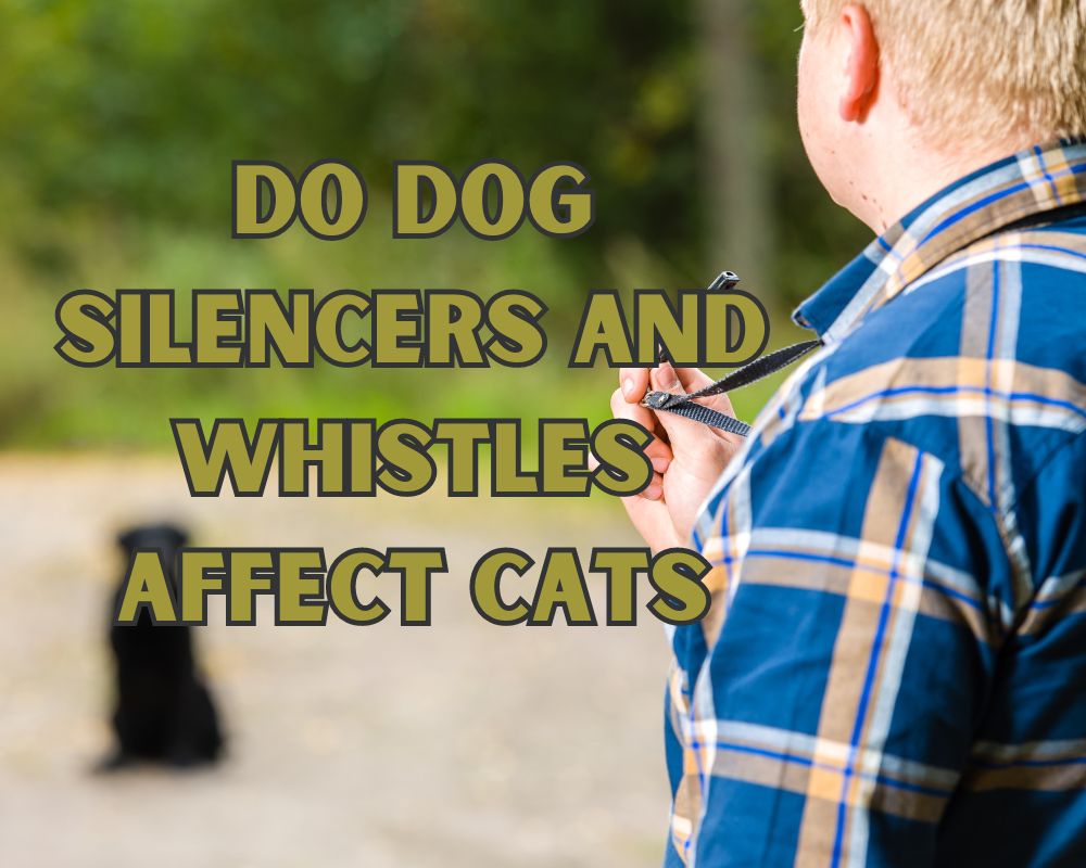 Do Dog Silencers and Whistles Affect Cats? Find Out Here!